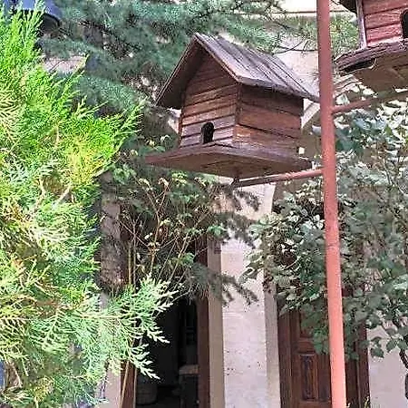 Отель Burcu Cave