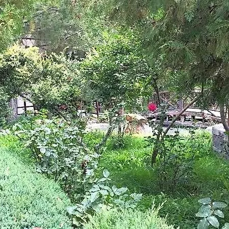 Burcu Cave 4*